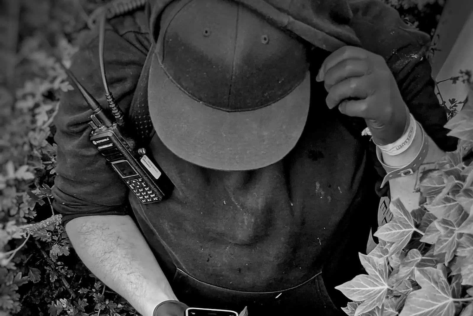 Black and white photo looking down on a crew member with a radio on his belt, checking his phone as he works among the plants on a festival site.